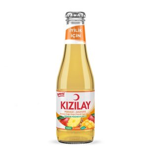 Kizilay Mango - Ananas 200ml